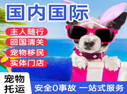 张孝航空空运国际宠物托运 【国